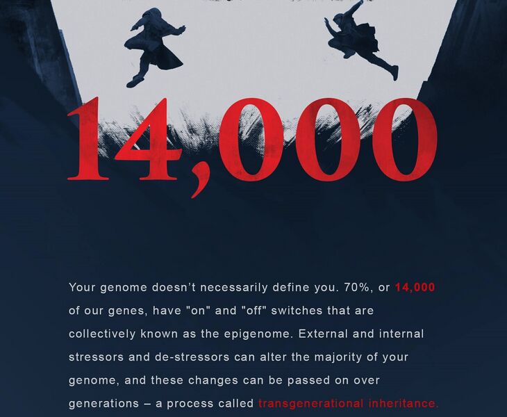 File:ACFilm YBINYO Bloodlines Fact 1.jpg