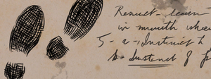 ACS Footprints Clue.png