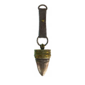 ACBFR Shark Teeth.png