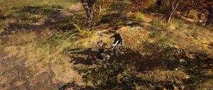 ACOD Bounty on a Mercenary.jpg