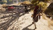 Kassandra returning