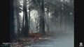 Thumbnail for version as of 00:19, 23 January 2026