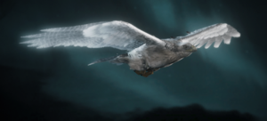 ACV Sýnin White Senu.png