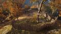 Thumbnail for version as of 00:28, 23 January 2026