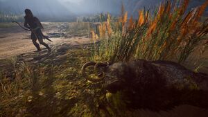 ACOd-ErymanthianBoar-04.jpg