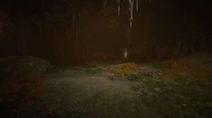 ACV Still Hollow.jpg