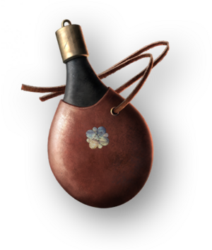 ACSH Powder Pouch.png