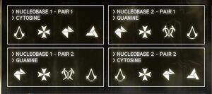 Pairs.jpg