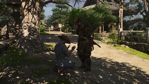 ACSH The Twisted Tree 8.jpg