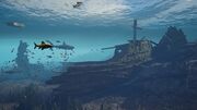 Below the surface