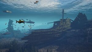 ACOd-Lesbos-SharkBaywater.jpg