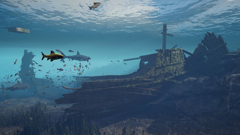 File:ACOd-Lesbos-SharkBaywater.jpg
