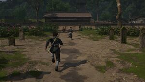 ACSH The Stray Dogs 11.jpg