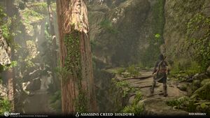 ACSH Path of Serenity 3.jpg
