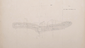 Thumbnail for version as of 00:33, 23 January 2026