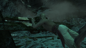 Diving For Medicines 6.png