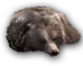 Thumbnail for version as of 00:27, 23 January 2026