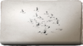 Thumbnail for version as of 00:33, 23 January 2026