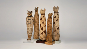 DTAE - Cat Mummies.png