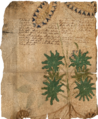 Thumbnail for version as of 16:14, 1 October 2026