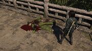 Taro killed by Naoe