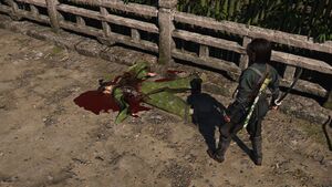 ACSH The Twisted Tree 11.jpg