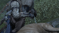 Thumbnail for version as of 00:10, 23 January 2026