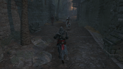 Ezio carrying the chest to the Romani camp