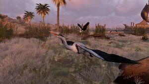 Herons-origins.jpg