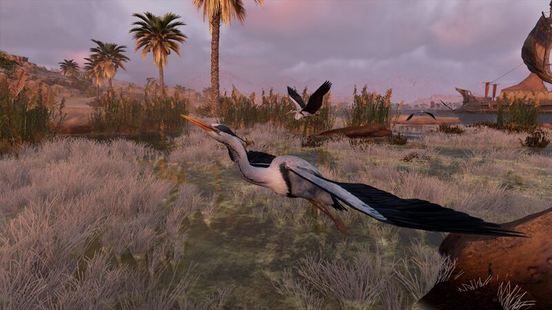 File:Herons-origins.jpg
