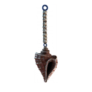 ACBFR Exotic Sea Shells.png