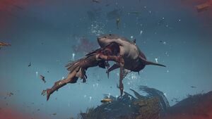 ACOd-Sharkfight.jpg