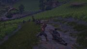 The Igans in combat against the mercenaries