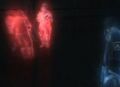 Thumbnail for version as of 00:15, 23 January 2026