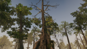 AC3L Bayou Viewpoint 1.png