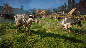 ACV Cattle.png