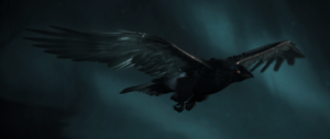 ACV Sýnin Vinland Crow.png