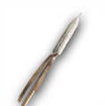 Thumbnail for version as of 00:31, 23 January 2026