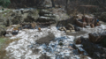Thumbnail for version as of 20:11, 14 May 2026