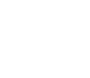 ACBV Logo.png