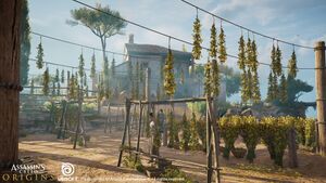 ACO Apollonia Silphium Farm- Anton Antonov Marinov.jpg