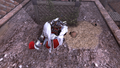 Thumbnail for version as of 00:10, 23 January 2026