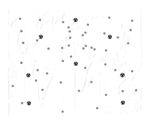 AC2 Codex Map Outline.png