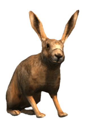 AC3 DB Hare.png