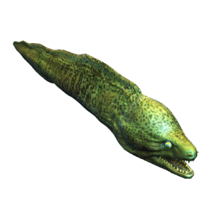 AC4DB - Moray Eel.png