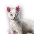 Sakura Fox