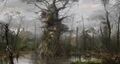 Thumbnail for version as of 00:17, 23 January 2026