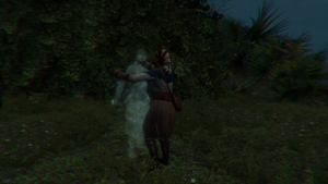 Eve of Saint John 6.png