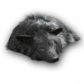 Thumbnail for version as of 00:27, 23 January 2026