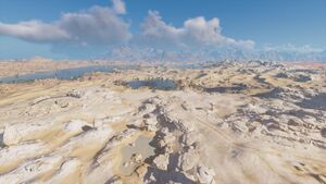 ACO White Desert Oasis.jpg